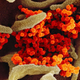 SARS-CoV-2 (shown in orange) as seen through a scanning electron microscope.